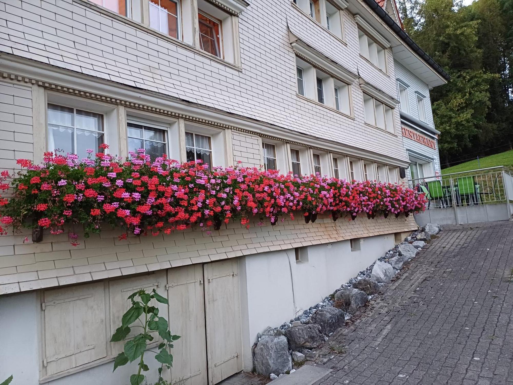 Schwellbrunn,Ferienwohnung Mit Saentissicht Exterior photo